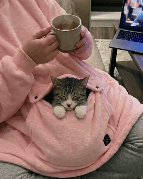 Cozy for two